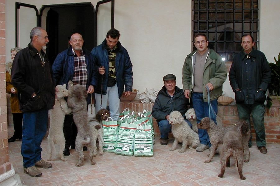 sangiovanni01