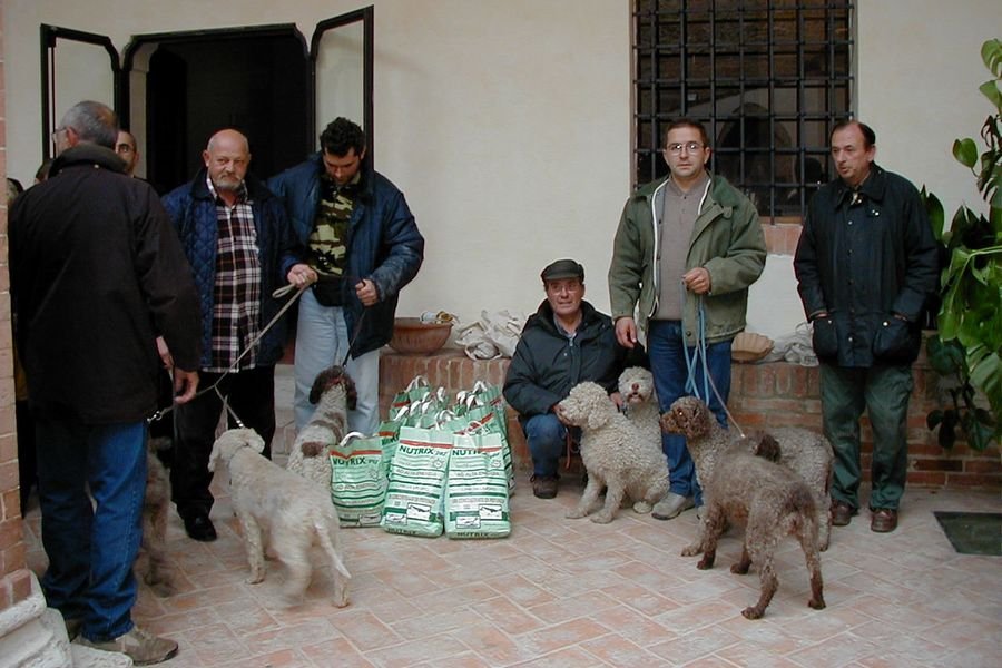 sangiovanni02