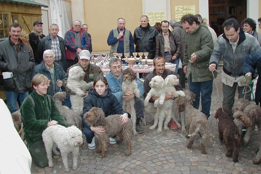 savigno02