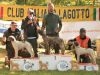 bagnoP25-03