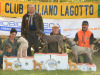 bagnoP25-11