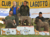 bagnoP25-14