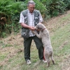 lampo