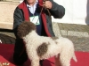 savigno06-10