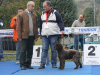 savigno10-13