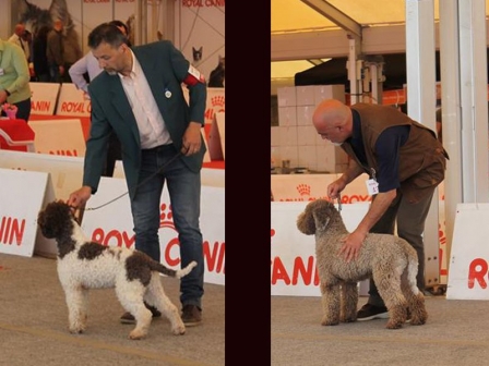 ercolano15-12
