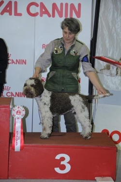 modena15-01
