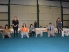 bastiaMS15_02