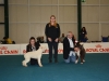 bastiaMS15_03