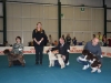 bastiaMS15_07