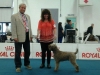 bastiaRad15_14