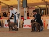 ercolano15-04