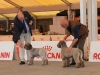 ercolano15-07
