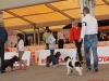 ercolano15-09