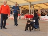 ercolano15-10