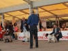 ercolano15-11