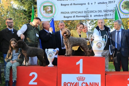bagnoR17_bob