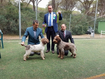 grosseto07-18