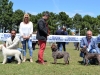 albarella17-10