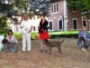 avezzano17-19