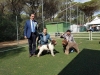 grosseto07-01
