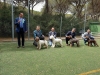 grosseto07-07