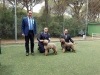 grosseto07-09
