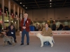 padovams17-14
