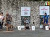 mercoglianoR19-19