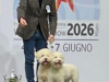 milano22-02