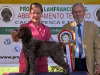 laquila25-16