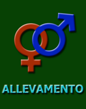 allevamento