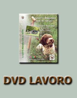 BENVENUTI - Lagotto Romagnolo