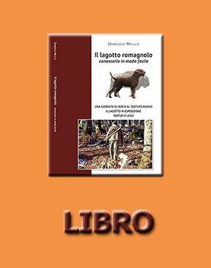 libro2