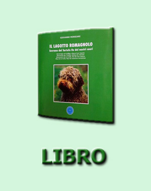 libron1