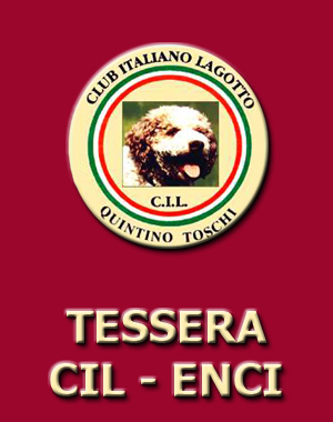 tessera