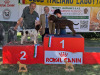 laquila25-14