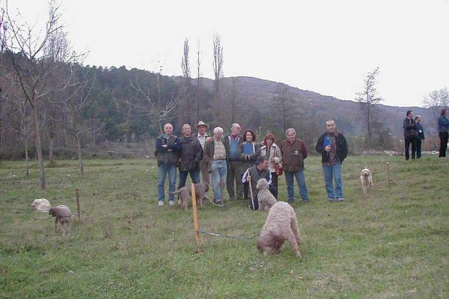 valtopina01