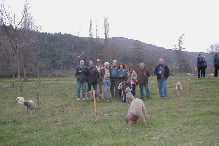 valtopina01