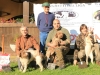 pontestura16-01