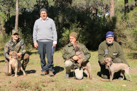 grosseto17-01