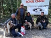 isernia17-02