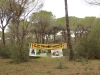 grosseto18-07