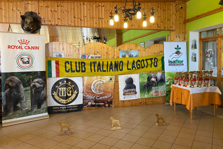 castiglione01