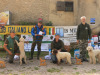 sanzeno25-05