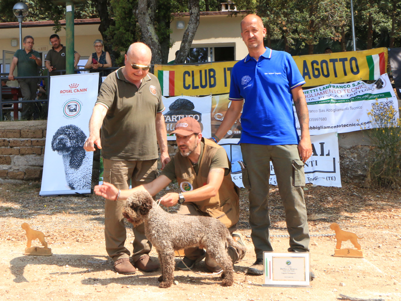 terni25-07