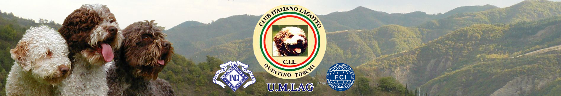 Club Italiano Lagotto