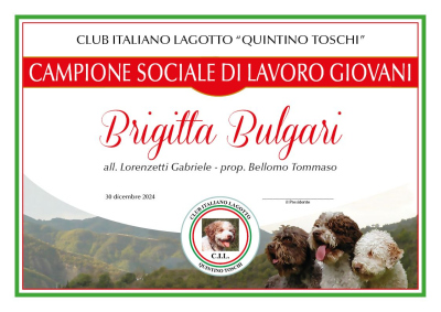 diploma-brigitta-bulgari