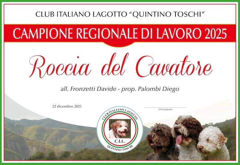 roccia
