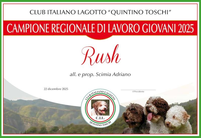 rush